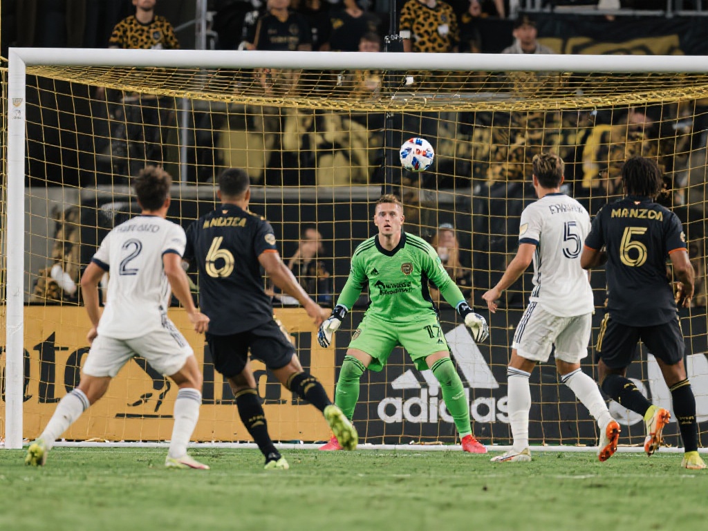 他选择了 他选择了